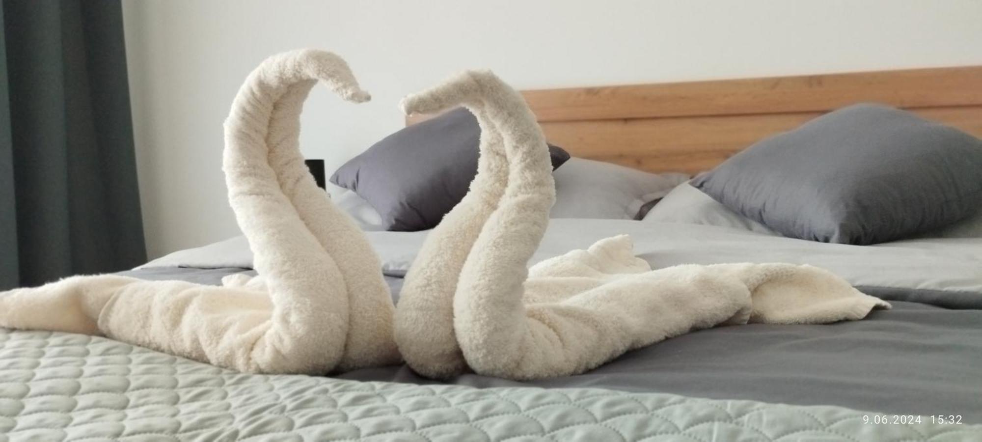 サルビノボ Bialy Domヴィラ エクステリア 写真